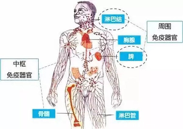 腋窝淋巴结肿大图片男，淋巴结凸起红块可能还疼痛