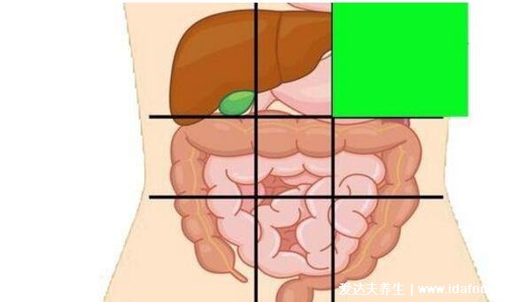 详细上腹部疼痛的位置图，不一定是胃疼还可能是这3大疾病