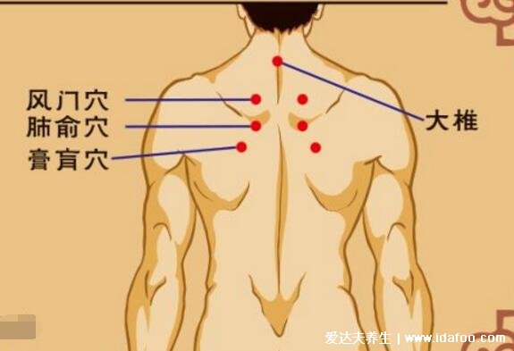 三伏贴贴敷部位图，5大不同穴位的防治疾病也不同