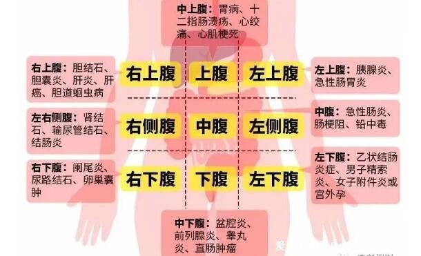 男性左上腹疼痛位置图，腹部疼痛地图告诉你各处疼痛的原因