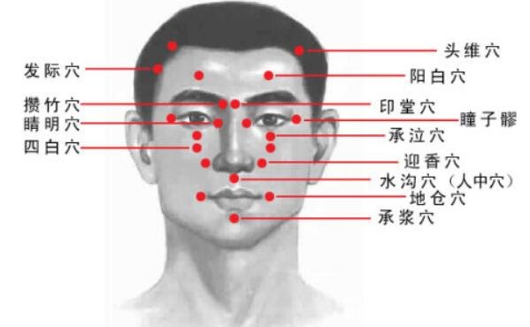 人体九条头部经络图解大全，按摩这些头部经络和穴位能改善头疼