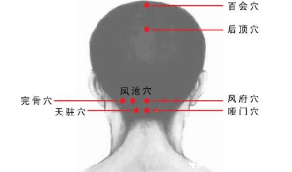 人体九条头部经络图解大全，按摩这些头部经络和穴位能改善头疼