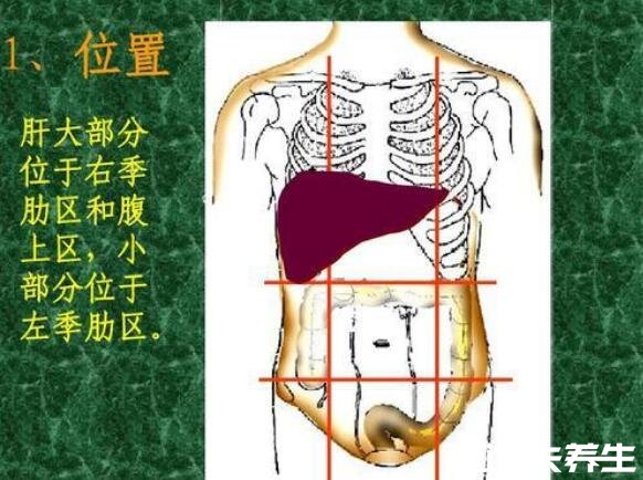 肝病的七个征兆，有毛细血管扩张的蜘蛛痣时需注意会感染