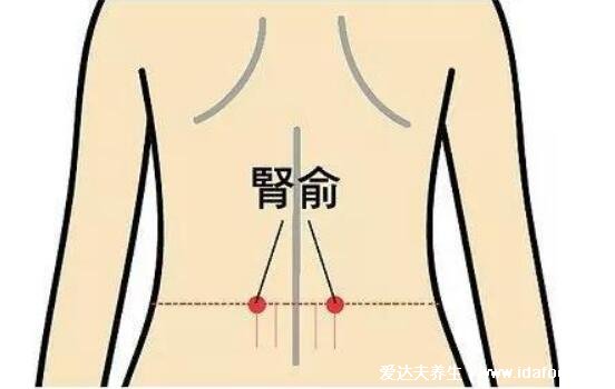 艾灸穴位图解图片大全，每个穴位功效都不同(建议收藏)