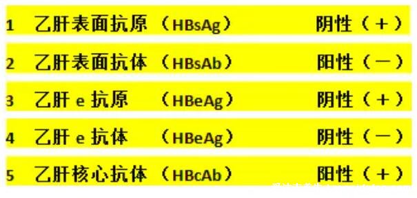 乙肝五项正常结果图，一分钟教你看懂结果图