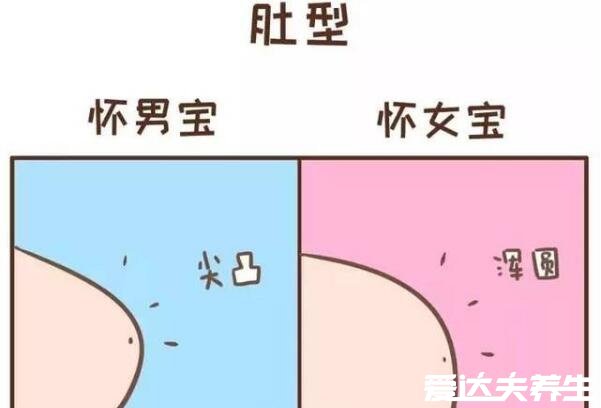 什么提示你怀了男宝宝，5个全中就恭喜你生男孩