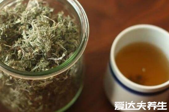 白蒿泡水喝的功效，有效保护肝脏治疗黄疸(四大功效)