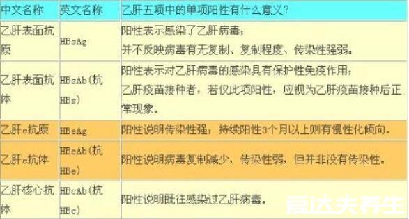 乙肝五项正常结果图，只有乙肝表面抗体为阳性就是健康的