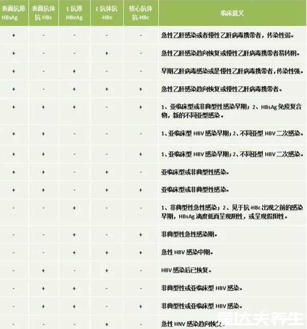 乙肝五项正常结果图，只有乙肝表面抗体为阳性就是健康的