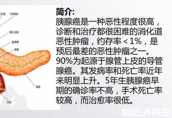 胰腺疼痛位置图片，一般位于上腹部疼痛但病变的范围大