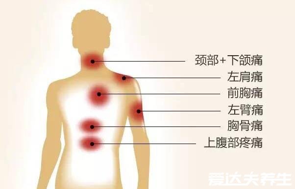 后背疼痛位置图详解，后背偏下疼可能是消化系统疾病