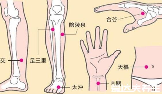 足三里的准确位置图片及其功效，在膝盖凹陷下三寸处可缓解胃痛