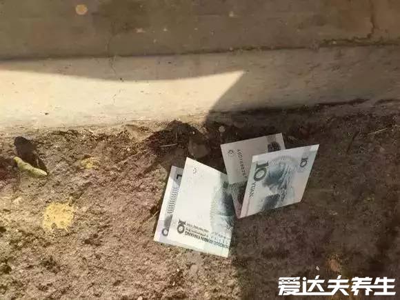 民间最忌讳的十件东西不能捡，轻则走霉运重则生病死亡