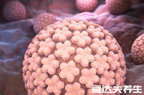 hpv阳性是什么意思，人乳头瘤病毒(hpv)不一定是性传播