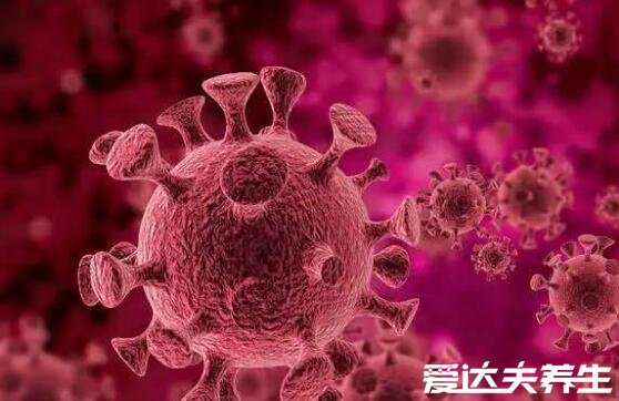 hpv阳性是什么意思，人乳头瘤病毒(hpv)不一定是性传播