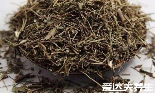 香薷泡水喝可以治疗口臭吗，不仅缓解口臭还能利尿消肿