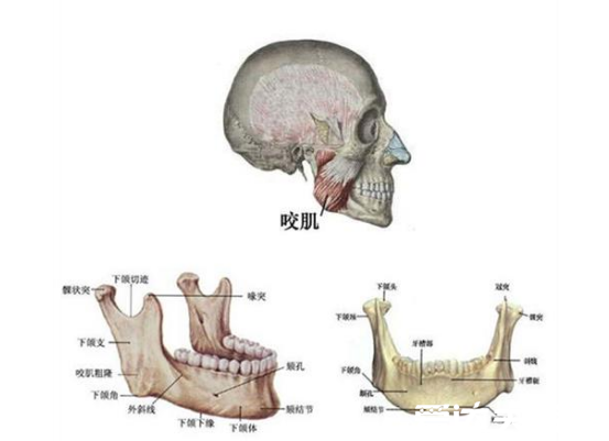 拔了智齿后悔终身，四个拔牙后的惨痛经历