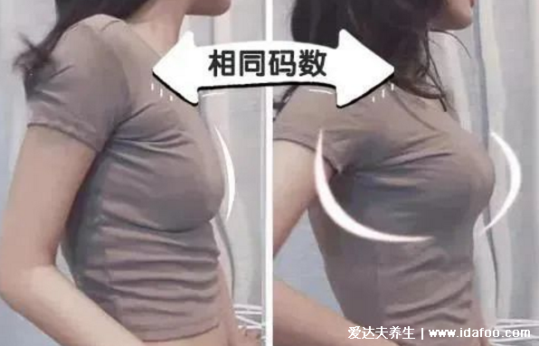 女人长副乳图片，教你怎么判断是副乳还是赘肉