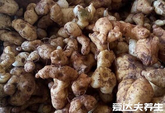 黄精的功效与作用禁忌，可延年益寿/降三高但不可长期食用(图片)