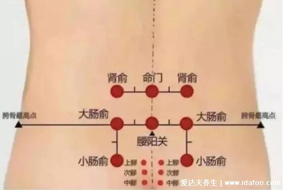 命门穴的准确位置图，强肾固本/延缓衰老的养生第一大穴