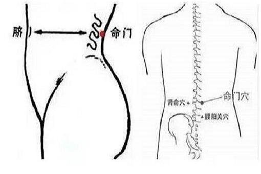 命门穴的准确位置图，强肾固本/延缓衰老的养生第一大穴