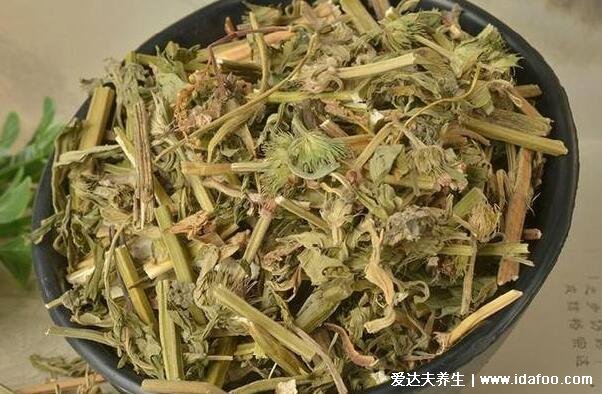 益母草什么时候喝最好，经期前五天/饭后一小时服用(忌过量久服)