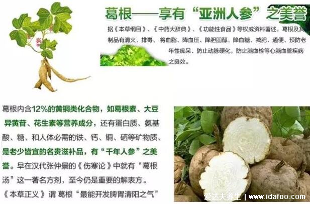 葛根的功效与作用，5大功效3大吃法和3大禁忌须知