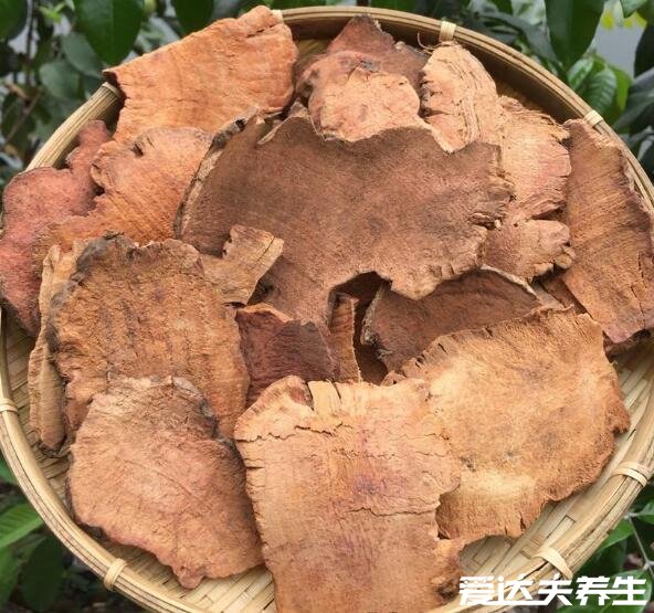 茯苓和土茯苓有什么区别，完全是两种不同中药一看便知(图片)