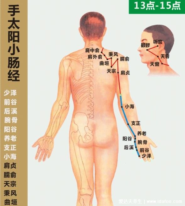 六条手背上经络图对应的器官，按摩5个手指可缓解全身疾病(图片)