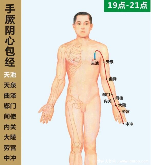 六条手背上经络图对应的器官，按摩5个手指可缓解全身疾病(图片)