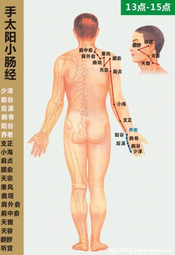 面部经络图走向图，任脉堵塞脸部会暗黄(附十二经络简单记忆法)