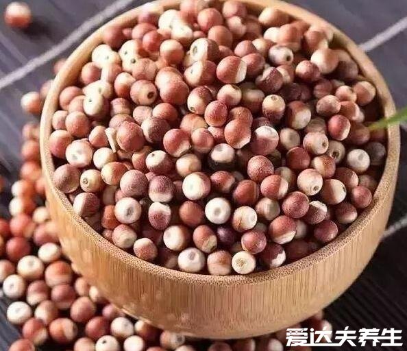 芡实是什么，睡莲科植物芡的种子养生效果非常好(图片)