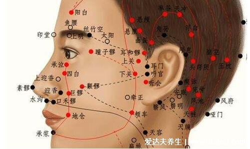 人体面部穴位图美容部位图，按摩承泣穴有助于去黑眼圈