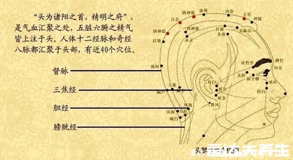 人体面部穴位图美容部位图，按摩承泣穴有助于去黑眼圈