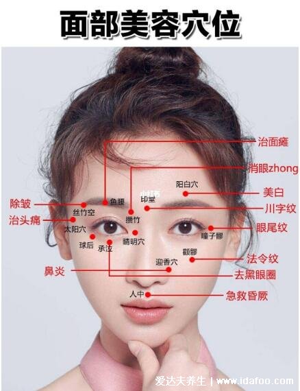 人体面部穴位图美容部位图，按摩承泣穴有助于去黑眼圈