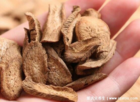 三大牛蒡茶不适合什么人喝，性寒生理期的女性禁止服用