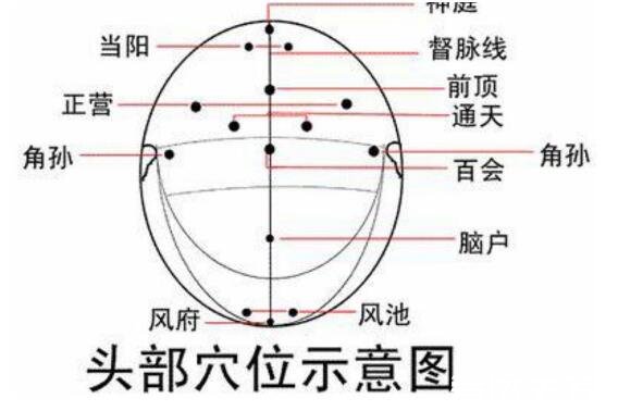 人体头部经络图穴位图，让你精准找到自己头部的穴位