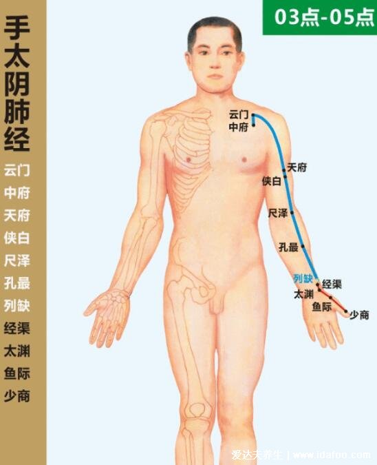 十二经络简单记忆法，超级简单的十二经脉歌诀顺口溜必背