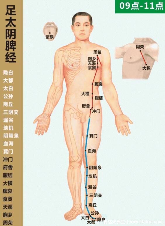 十二经络简单记忆法，超级简单的十二经脉歌诀顺口溜必背