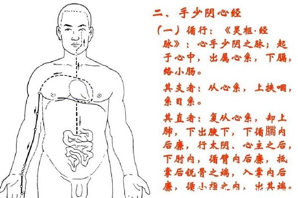 手臂经络图6条走向，分为手三阳和手三阴(手三阴胸起往手走) 