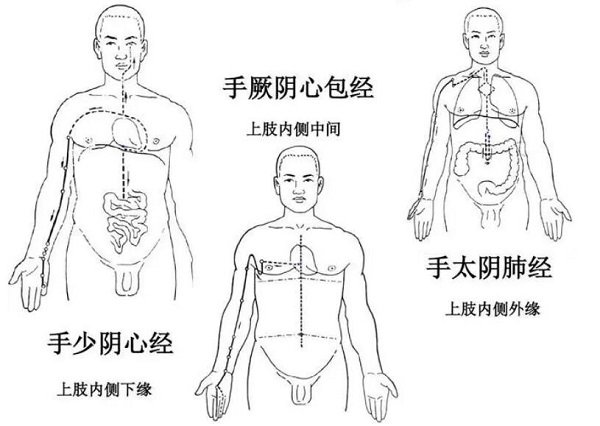 手臂经络图6条走向，分为手三阳和手三阴(手三阴胸起往手走) 