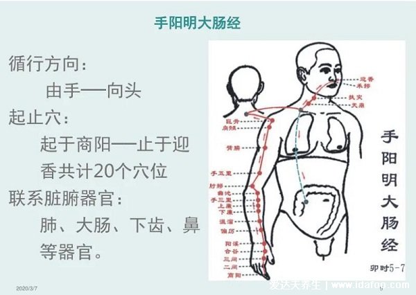 手臂经络图6条走向，分为手三阳和手三阴(手三阴胸起往手走) 