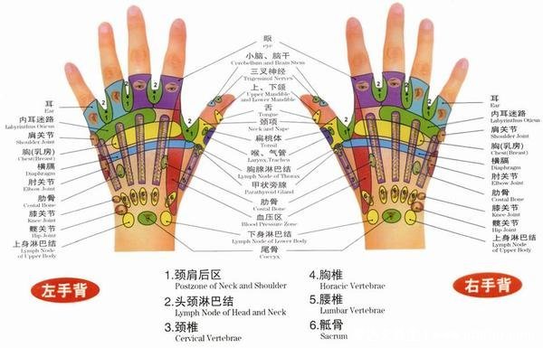 腿部经络图6条的走向及穴位图，四肢经络口诀更好记忆