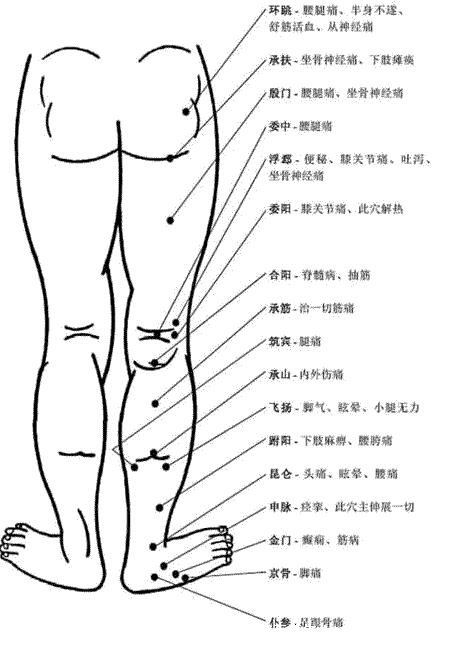 腿部经络图6条的走向及穴位图，四肢经络口诀更好记忆