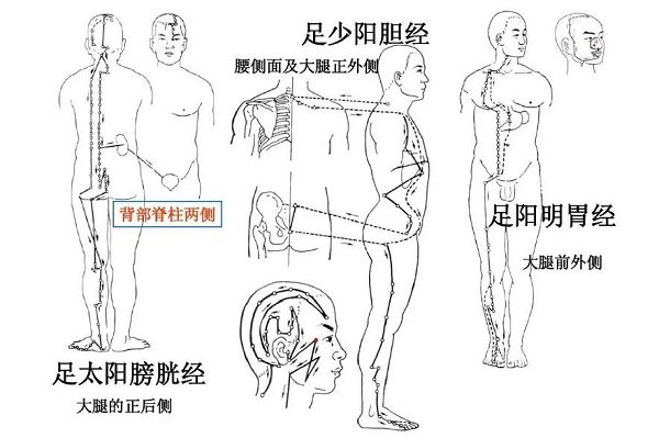 腿部经络图6条的走向及穴位图，四肢经络口诀更好记忆