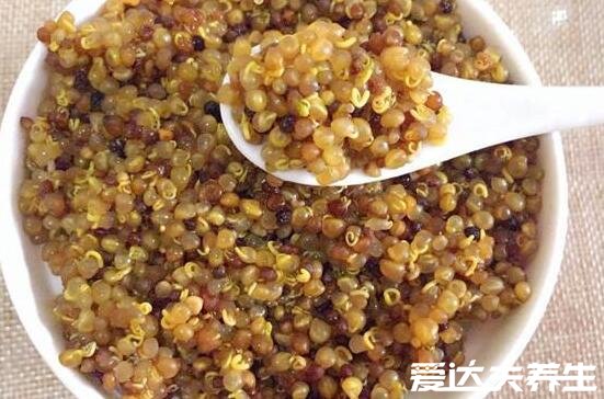 盐菟丝子的功效与作用及禁忌，对女人的好处有什么(调节内分泌)