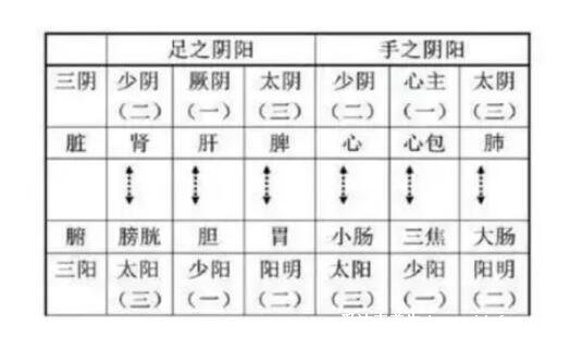 中医人体十二大系统，六大系统与自然宇宙有关(包含太阳系统)