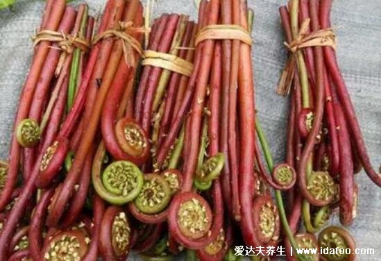 农村100种野菜图片，有些你肯定吃过(含荠菜/苦菜)