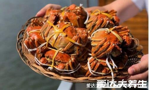 螃蟹吃什么食物，喂食米饭/面包屑/玉米或南瓜都可以(杂食性动物)