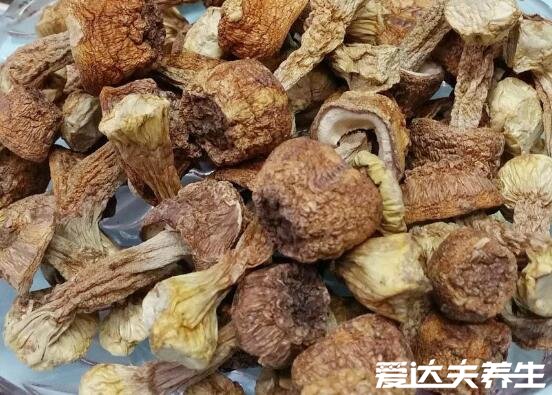 松茸菌的功效与作用及食用方法，用来蒸蛋/炖汤可以有效防止衰老